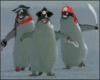 Animated Penguin Pirates