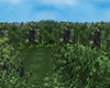Background Addon Forest