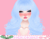 Fern Icy