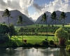 Maui tropical scenery