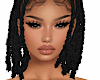PALM TREE LOCS
