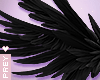 Fallen Angel Black Wings