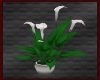 MR White Lily & Vase
