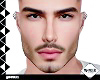 ⩖ LOGAN HEAD T1