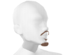 blond tache v4