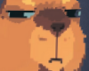 Jugement - Capybara