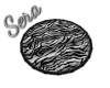 Zebra Circle Rug