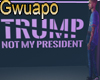 Trump isnt my President