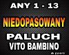 Paluch - Niedopasowany