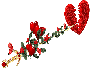 Sabre Roses and Heart