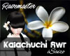 Kalachuchi Hair Flower