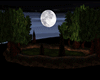 moonlight in the forest