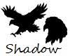 Coven of Shadows Crest
