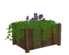 Sq-Wooden-Flower-Box