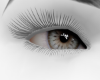 ♣Alli eyes 2 Tone♣