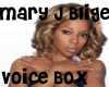Mary J Blige VB