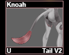 Knoah Tail V2