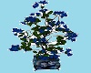 Blue Vamp Love Plant