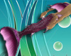 Merman Purple Tail wFinG