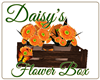 [SS]Daisy's Flower Box