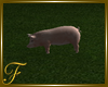 F: Farm House PinkPig