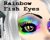 Rainbow Fish Eyes