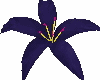 Purple lily petals