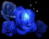 blue rose orb