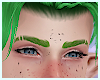 ☾ Warm Green Eyebrows