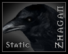 [Z] Crow /Raven static
