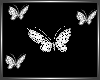 SL Butterflies Pet Anim2