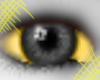 .:Homestuck Troll Eye:.
