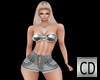 CD Full Outfit Silver RL