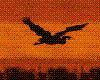 Bird at Sunset