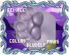 Stormy Paws