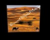 Art African Desert Camel