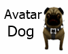 Avatar Dog
