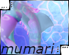 Amatheia Tail 2