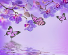 PURPLE BUTTERFLY