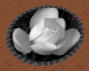 white rose round rug