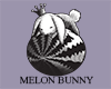 Melon Bunny B/W