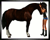 Horse Love ~ Dark Brown