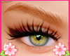 Brows Ginger