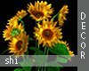 Shi* Sunflower Decor