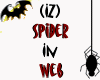 (IZ) Spider In Web