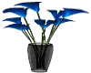 blue flower/black vase