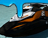 jet ski"