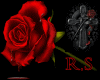 [R.S] Roses 01