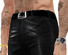 Elegant Leather Pants S