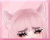 ℓ cat ears pink
